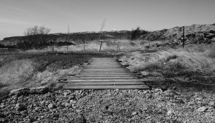 最新教你“微壳跑胡子神器下载”详细开挂玩法