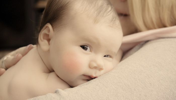 玩家辅助神器:“新青鸟有挂吗!详细分享装挂步骤 玩家辅助神器:“新青鸟有挂吗!详细分享装挂步骤