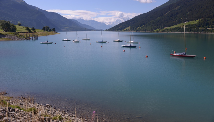 推荐一款”新蛮王大厅有透视挂吗”(原来确实是有挂)