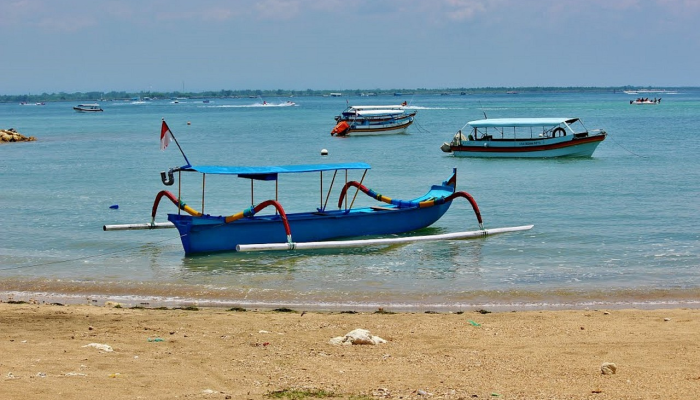 50多头领航鲸在苏格兰海滩搁浅后死亡 50多头领航鲸在苏格兰海滩搁浅后死亡
