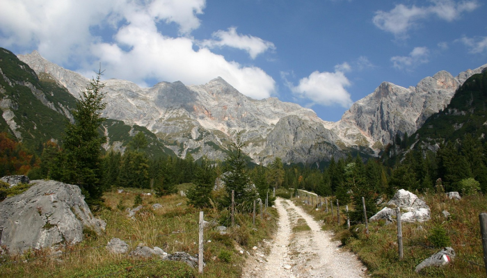 约塞米蒂国家公园的徒步旅行者得到了关于熊出没地点的警告 约塞米蒂国家公园的徒步旅行者得到了关于熊出没地点的警告
