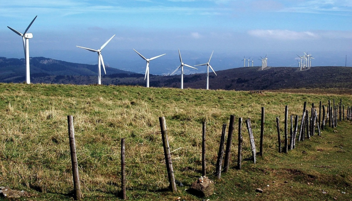 爱尔兰“有潜力成为可再生能源强国”