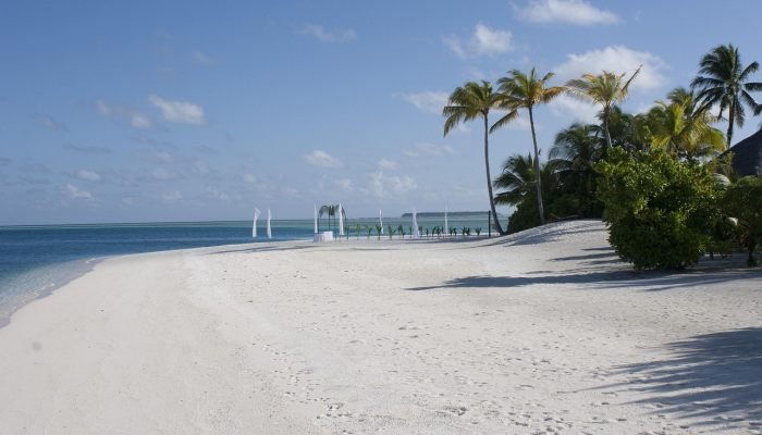 实测辅助“微乐河北麻将万能开挂器免费通用版”详细开挂玩法