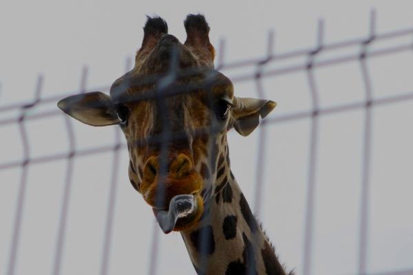 1分钟学会“宝马大厅炸金花有挂吗”其实确实有挂 1分钟学会“宝马大厅炸金花有挂吗”其实确实有挂
