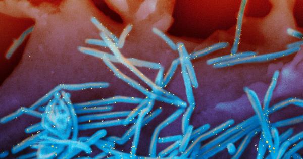 玩家必看教程“火牛炸金花挂”分享用挂教程 玩家必看教程“火牛炸金花挂”分享用挂教程