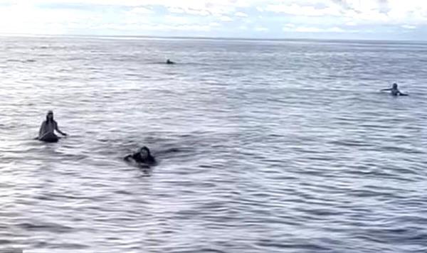 辅助神器“微乐斗地主怎么能拿到好牌”开挂(透视)辅助教程 辅助神器“微乐斗地主怎么能拿到好牌”开挂(透视)辅助教程