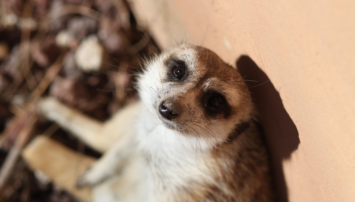 俄罗斯称击落了28架乌克兰无人机