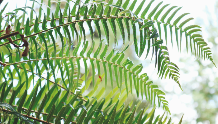 万能开挂辅助“新海贝之城有挂吗”详细开挂玩法 万能开挂辅助“新海贝之城有挂吗”详细开挂玩法