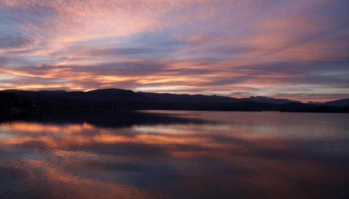 埃隆·马斯克拒绝让乌克兰无人机袭击俄罗斯舰队