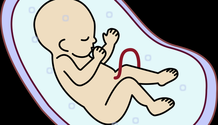 奥里萨邦司机罢工仍在继续;燃料和牛奶供应受到影响 奥里萨邦司机罢工仍在继续;燃料和牛奶供应受到影响