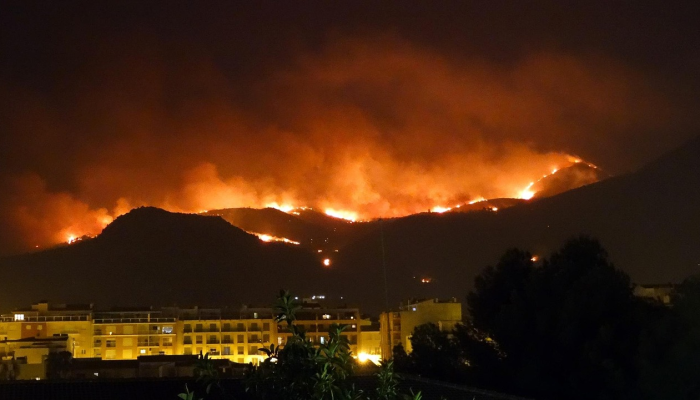 辅助神器“情怀打七怎么开挂”其实确实有挂