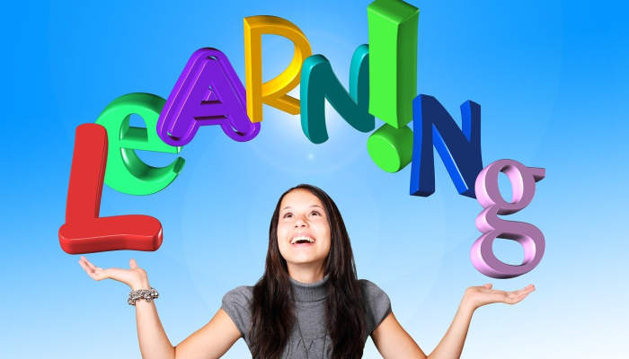 安卡拉抨击亚美尼亚在卡拉巴赫举行的选举