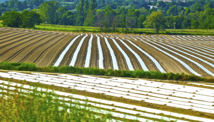 散户在股市“赌博”?Nithin Kamath对流行观点的看法 散户在股市“赌博”?Nithin Kamath对流行观点的看法