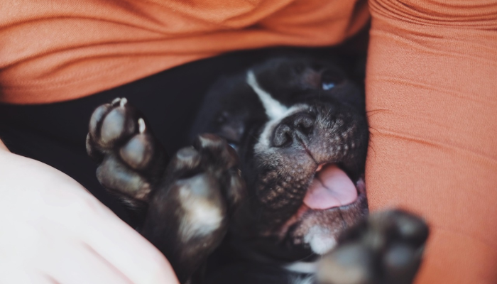 生物标记物可识别有或无活动性疾病的风湿性关节炎患者 生物标记物可识别有或无活动性疾病的风湿性关节炎患者