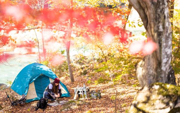 Shriram集团将通过向首席执行官Murali出售股份退出Shriram Properties