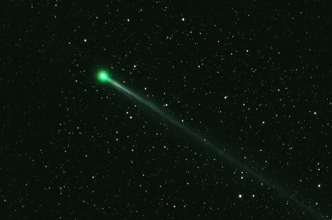 There’s still time for you to catch a glimpse of the newly discovered comet called Nishimura in California’s predawn skies. (Artsiom P / Shutterstock)