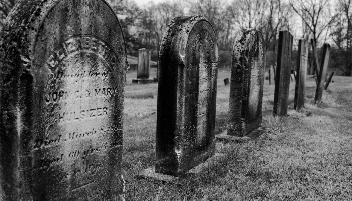 泰尔·尼科尔斯之死:为什么专家说常规交通阻塞会导致死亡 泰尔·尼科尔斯之死:为什么专家说常规交通阻塞会导致死亡