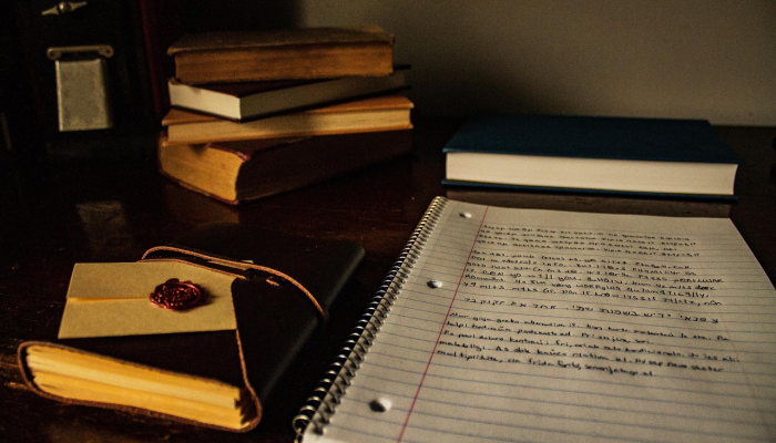 乔治亚州的照片显示，刚被收养的小猫在回家的路上需要救援满足破折号