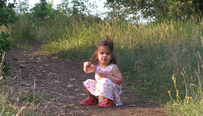 甜蜜科学：吃草莓有助于预防痴呆和抑郁症