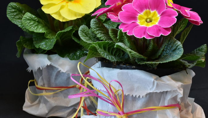 玩家辅助神器:“家乡大二辅助器官网入口”详细开挂玩法 玩家辅助神器:“家乡大二辅助器官网入口”详细开挂玩法