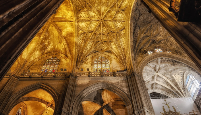 辅助神器“鸿运大厅开挂辅助器”(曝光透视必备猫腻)