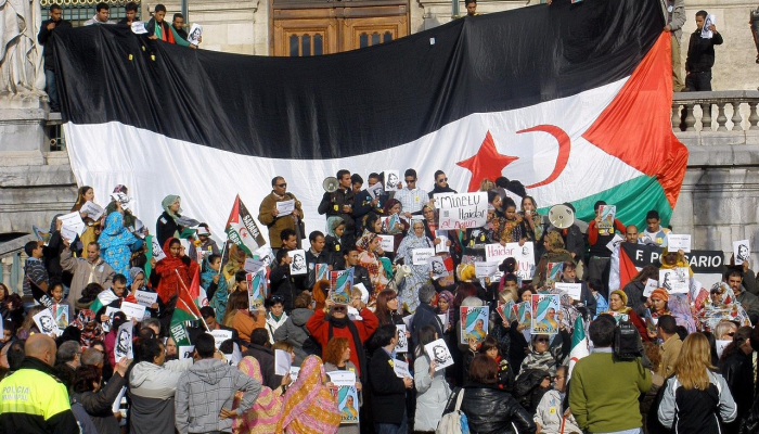 可用版本“授权二厅有挂吗”详细开挂玩法