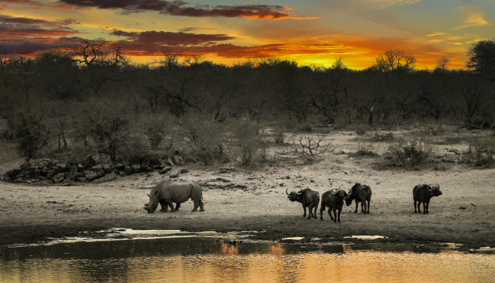 开挂辅助工具“快玩炸翻天开挂神器软件下载!分享用挂教程