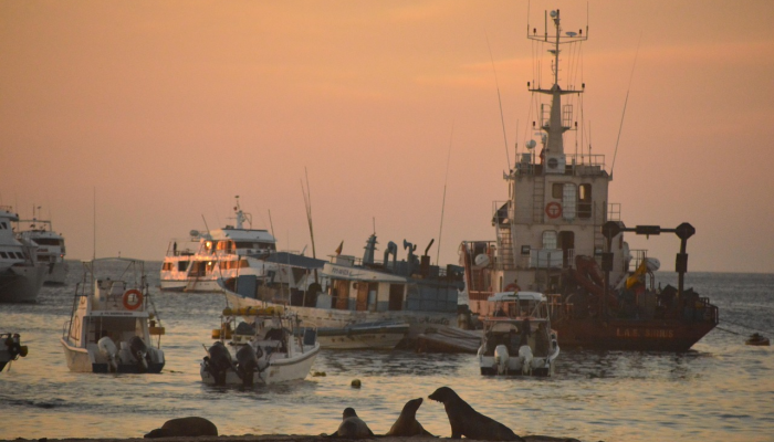 玩家必看教程“雀神麻将外卦神器下载安装”分享用挂教程 玩家必看教程“雀神麻将外卦神器下载安装”分享用挂教程
