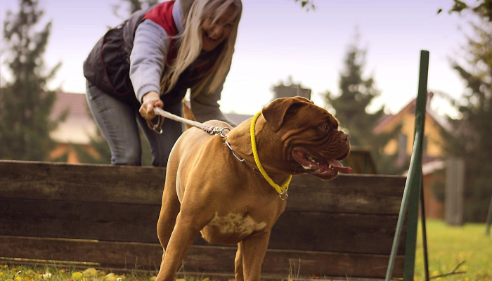 万能开挂辅助“哈狗游戏开挂方法”分享用挂教程