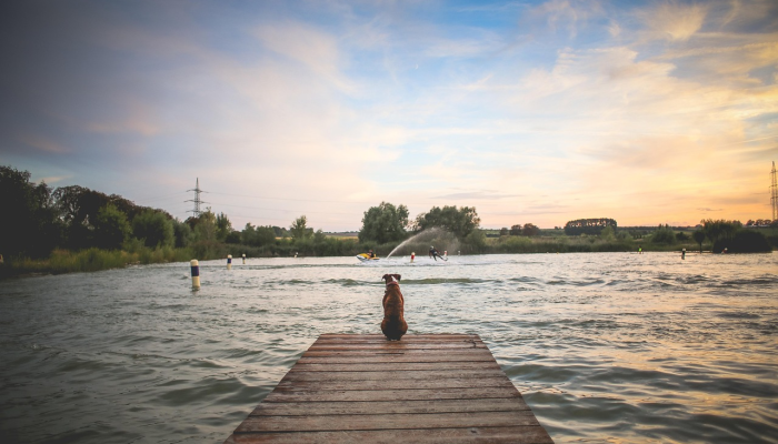 被监禁的反对派领导人李明博的亲密助手获准保释 被监禁的反对派领导人李明博的亲密助手获准保释