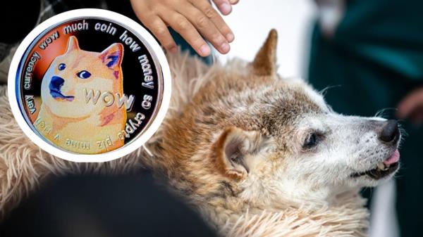 推荐一款”老友漳州棋牌漳浦麻将把把输”(曝光透视必备猫腻)