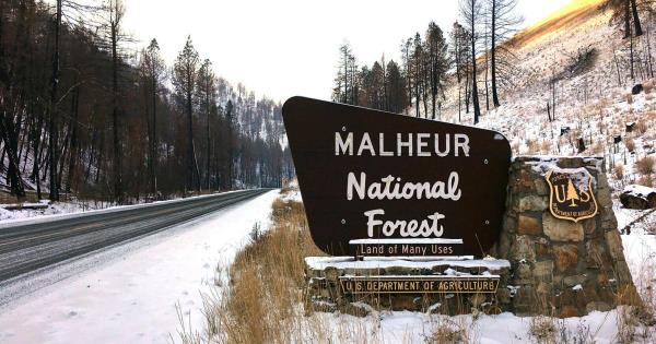 埃德蒙顿的2个营地在周六和周日撤离 埃德蒙顿的2个营地在周六和周日撤离