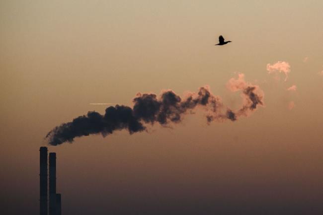 如何观看今天的绿湾包装工队vs达拉斯牛仔外卡比赛:直播选项,开球时间 如何观看今天的绿湾包装工队vs达拉斯牛仔外卡比赛:直播选项,开球时间