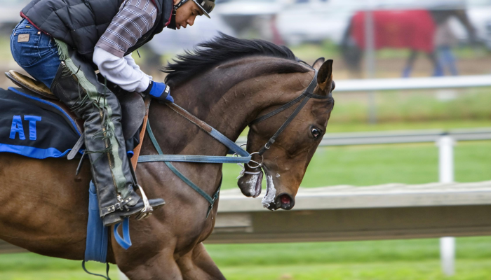 杰克逊供水系统离有新主人又近了一步