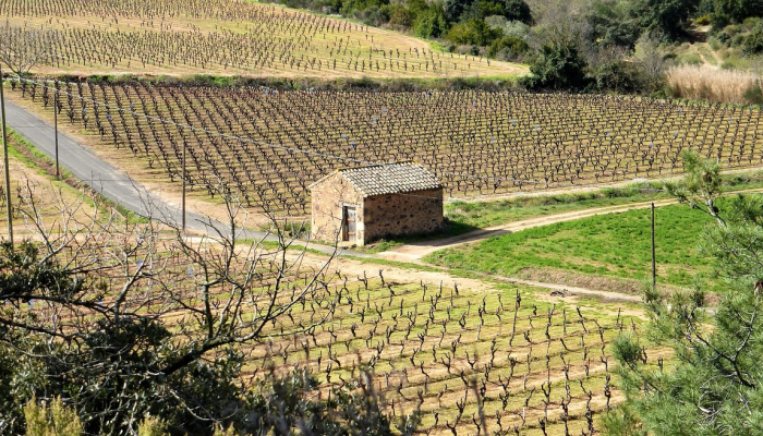 法国将在冬季前延长其最后一批燃煤电厂的寿命 法国将在冬季前延长其最后一批燃煤电厂的寿命