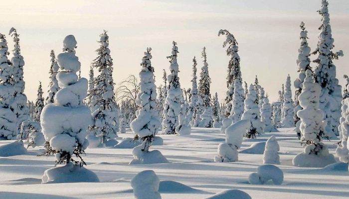 本周费城会有多冷,谁下的雪最多? 本周费城会有多冷,谁下的雪最多?