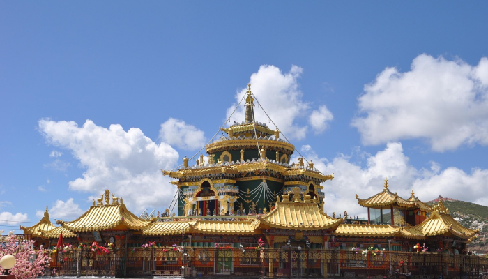 波兰宫殿废墟下的秘密隧道被发现看到它 波兰宫殿废墟下的秘密隧道被发现看到它