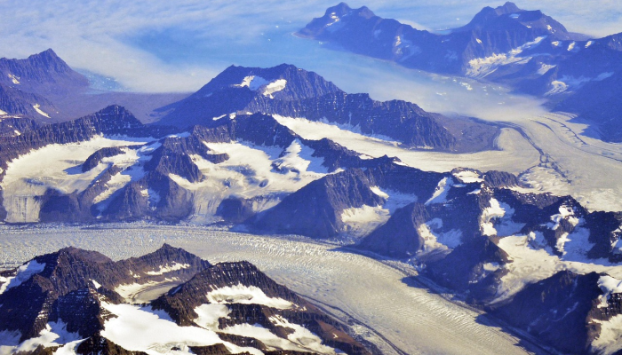 塔塔通信公司第一季度业绩疲软,股价下跌1% 塔塔通信公司第一季度业绩疲软,股价下跌1%