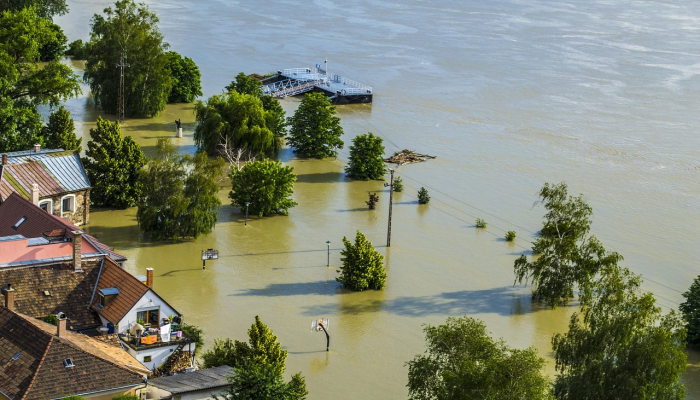 辅助神器“福建天天开心十三水窍门”(曝光透视必备猫腻) 辅助神器“福建天天开心十三水窍门”(曝光透视必备猫腻)