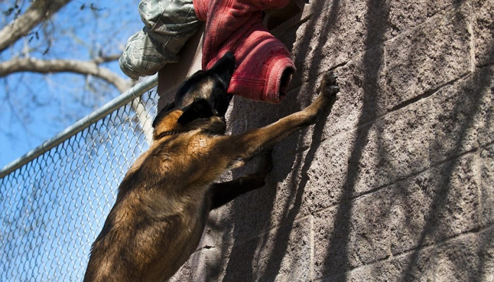 格里特风暴袭击英国,三人死亡 格里特风暴袭击英国,三人死亡
