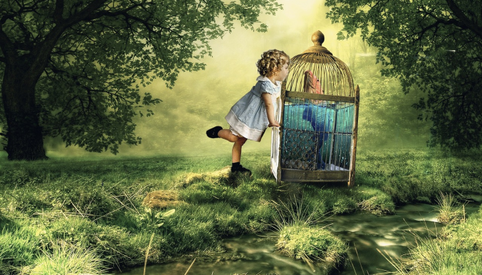 辅助神器“微乐内蒙古麻将万能开挂器”其实确实有挂 辅助神器“微乐内蒙古麻将万能开挂器”其实确实有挂