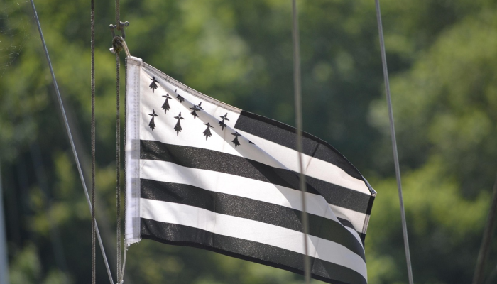 尼日利亚连体双胞胎“哈桑娜和哈西娜”抵达利雅得