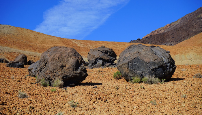 早在“古生物学”一词出现之前,非洲人就发现了恐龙化石 早在“古生物学”一词出现之前,非洲人就发现了恐龙化石