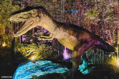 科罗拉多超市杀人案嫌疑人还不能上庭 科罗拉多超市杀人案嫌疑人还不能上庭