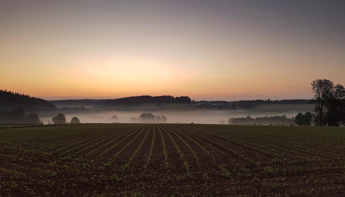 最新教你“微乐广西麻将怎样免费开挂”(曝光透视必备猫腻) 最新教你“微乐广西麻将怎样免费开挂”(曝光透视必备猫腻)
