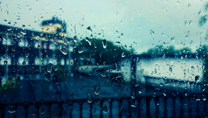 新闻18晚间文摘:登陆进程继续,受雨袭击的金奈学校明天关闭,以及其他头条新闻 新闻18晚间文摘:登陆进程继续,受雨袭击的金奈学校明天关闭,以及其他头条新闻