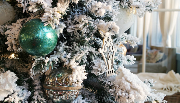 废弃的圣诞树,送给斯德哥尔摩鱼的礼物 废弃的圣诞树,送给斯德哥尔摩鱼的礼物