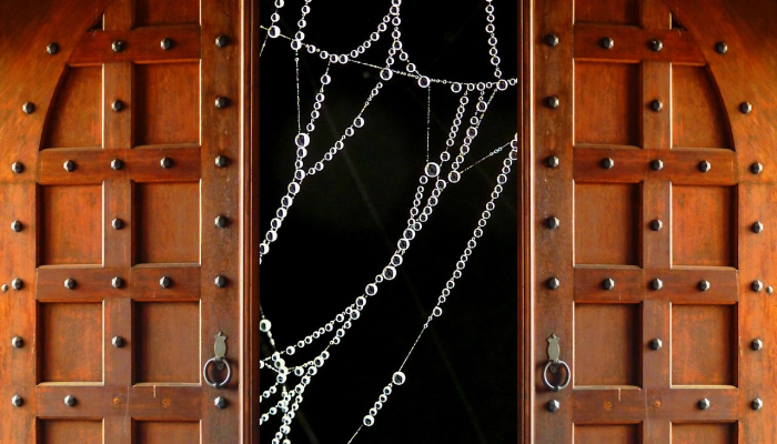 国土部长访问卢旺达，商讨建设合作