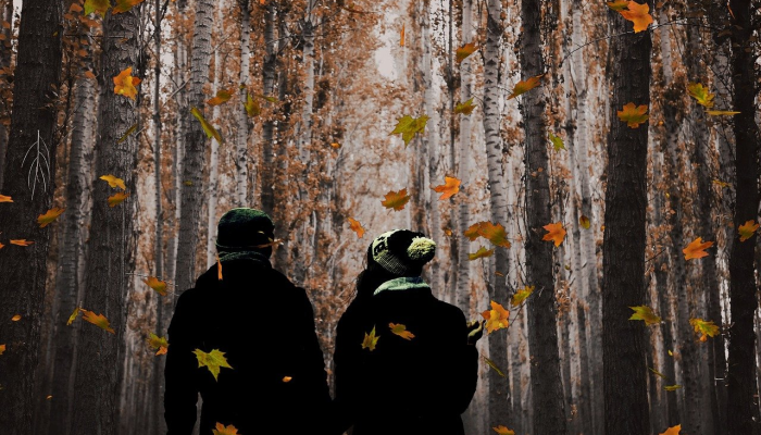 2024年，DSG vs JSK