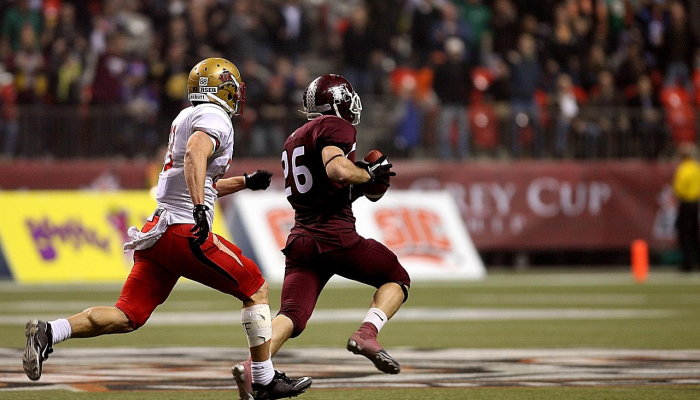 扎克·约翰逊准备放走莱德杯的纯种马 扎克·约翰逊准备放走莱德杯的纯种马